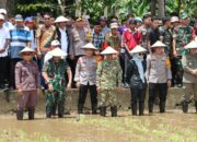 Kapolda Sulsel Hadiri Panen Raya Serentak di Kabupaten Bone, Wujud Dukungan Ketahanan Pangan Daerah