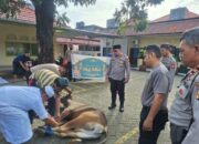 Idul Adha 1446 H, Polsek Tamalanrea Berkurban Satu Ekor Sapi untuk Warga