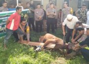 Rayakan Idul Adha, Polsek Tamalate Bagikan Daging Kurban ke Warga Sekitar