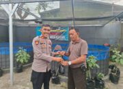 Dukung Ketahanan Pangan, Polsek Makassar Panen dan Salurkan Kepada Warga