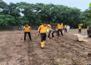 Polsek Tamalanrea Gerakkan Penanaman Jagung 5 Hektar, Wujudkan Asta Cita Presiden di Bidang Ketahanan Pangan