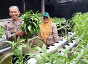 Dukung Ketahanan Pangan Nasional, Polsek Biringkanaya Laksanakan Panen Perdana Sayuran Hidroponik