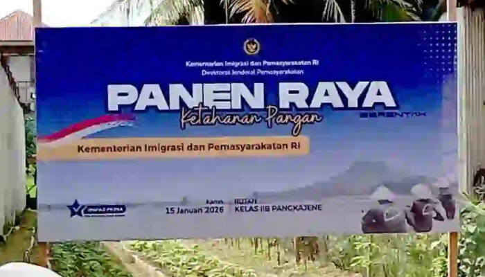 Pemasyarakatan Ambil Peran Strategis, Panen Raya Rutan Pangkajene Perkuat Ketahanan Pangan