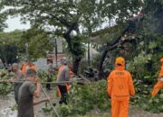 Gotong royong Polsek Tallo bersihkan pohon tumbang di Jalan Arif Rahman Hakim, lancarkan aktivitas warga Makassar.
