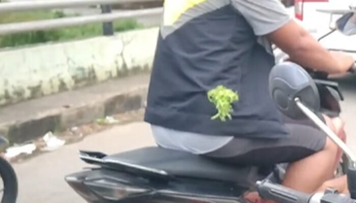 Pelaku Penganiayaan Driver Maxim dengan Busur Panah Diamankan Polsek Manggala