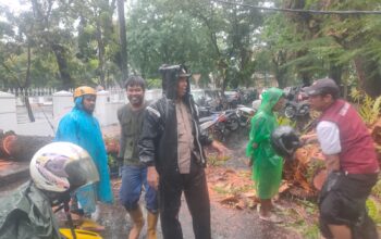 Polisi Bersama DLH dan BPBD Evakuasi Pohon Tumbang