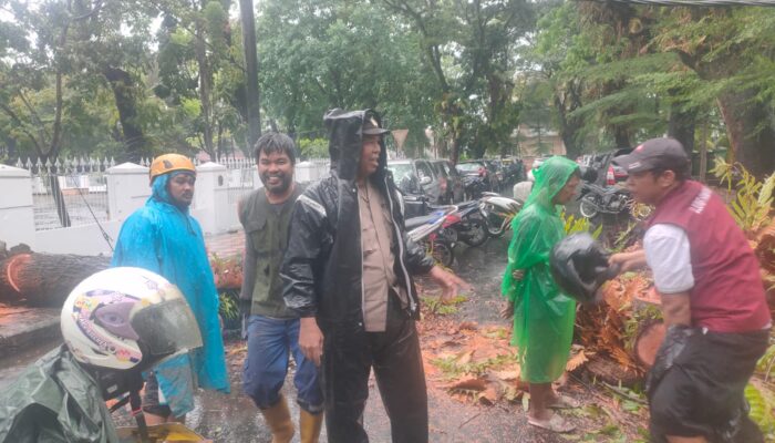 Polisi Bersama DLH dan BPBD Evakuasi Pohon Tumbang