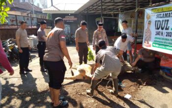 Idul Adha 1447 H, Polsek Ujung Pandang Tebar Kepedulian Lewat Pembagian Daging Qurban
