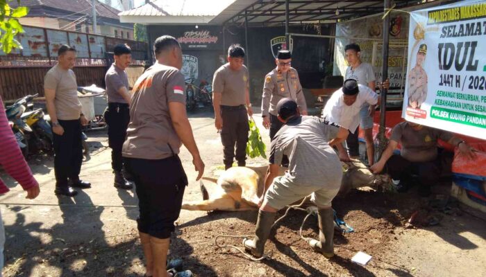 Idul Adha 1447 H, Polsek Ujung Pandang Tebar Kepedulian Lewat Pembagian Daging Qurban