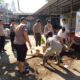 Idul Adha 1447 H, Polsek Ujung Pandang Tebar Kepedulian Lewat Pembagian Daging Qurban