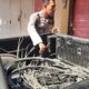 Nekat Curi Kabel Ruko, Satu Pelaku Diamankan Polsek Tamalate